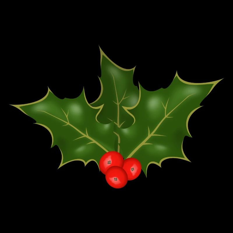 Holly