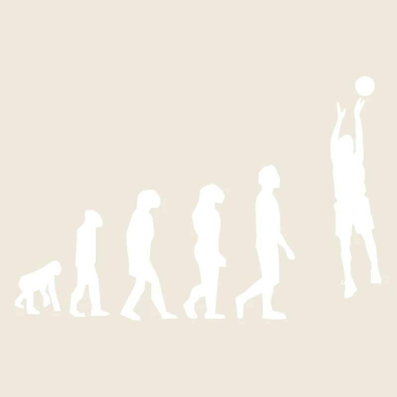 Basket évolution