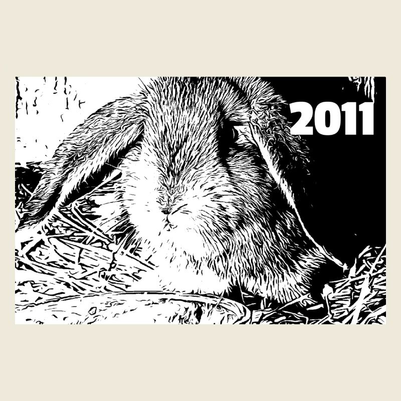 Hase 2011