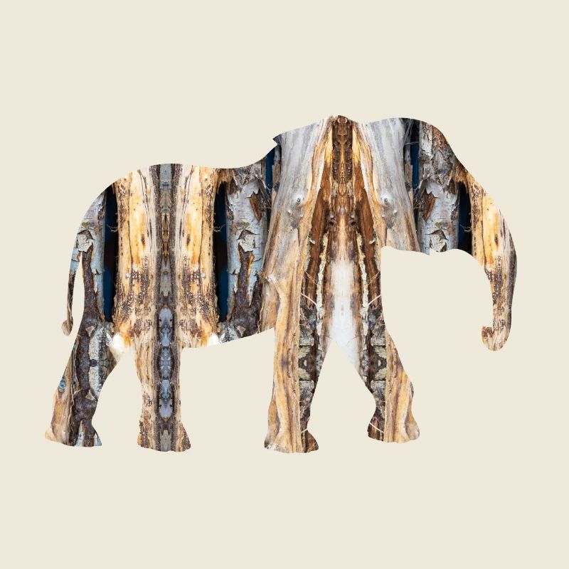 brauner Elefant