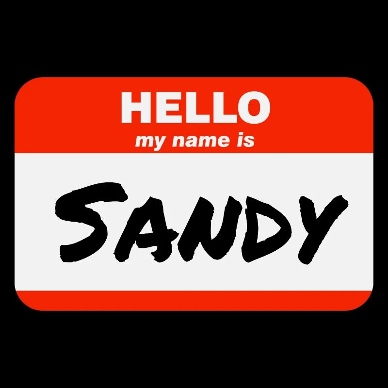 Hello My Name Is Sandy Label Name Tag