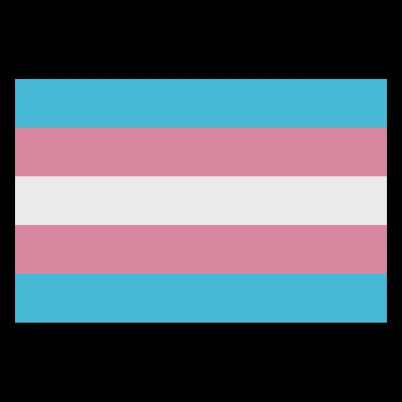 Drapeau trans