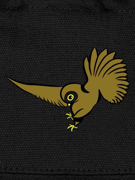 Chasse oiseau chouette