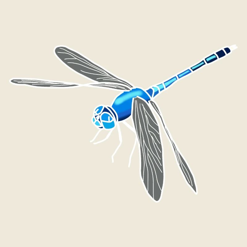 Libellule