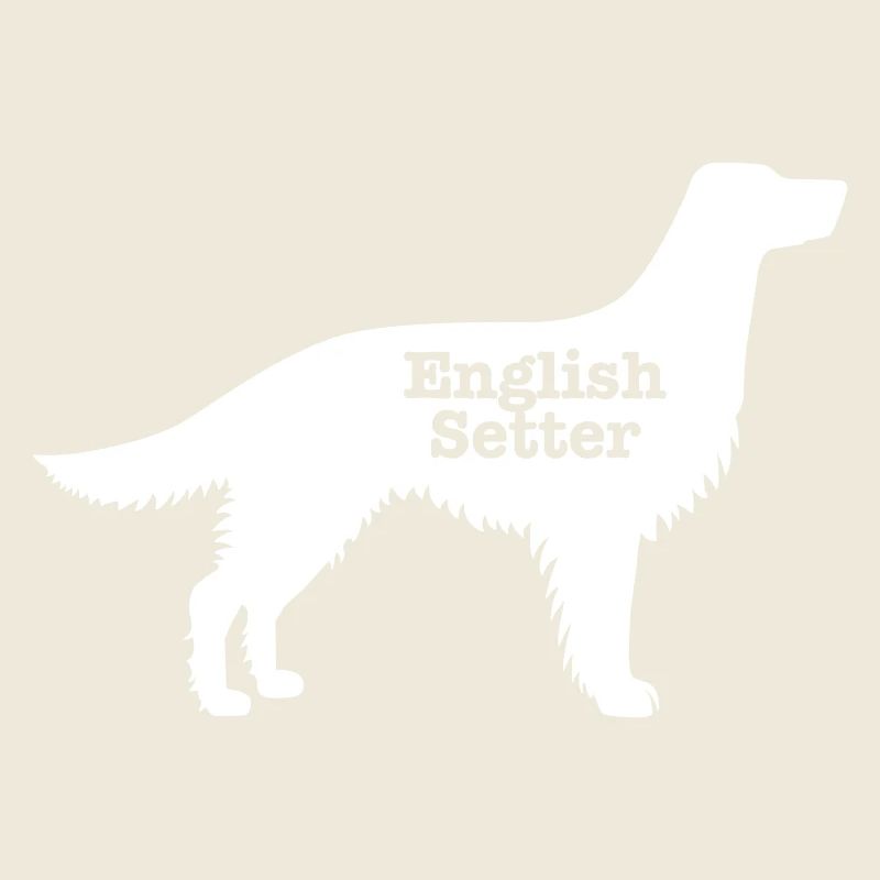 Setter anglais