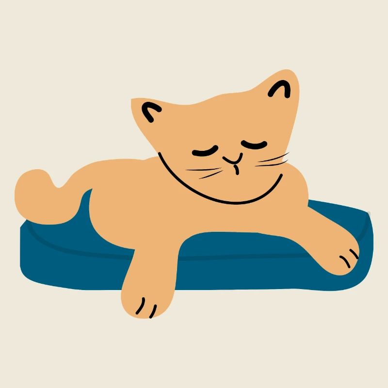 Bébé chat endormi3