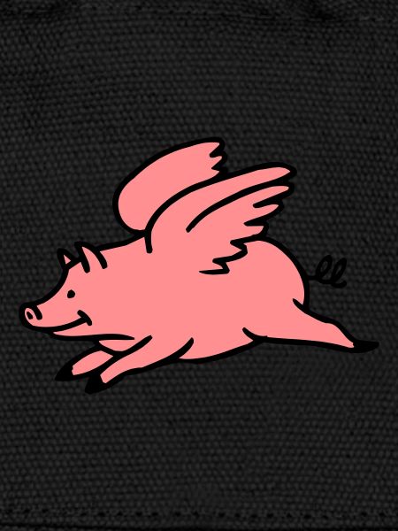 Flying Pig