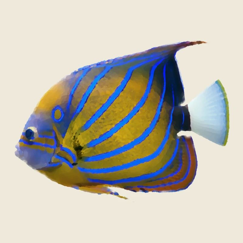 fish tropical