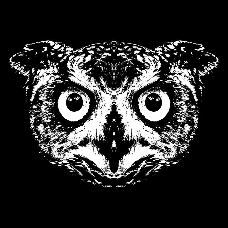 Owl / Eagle Owl / Owl