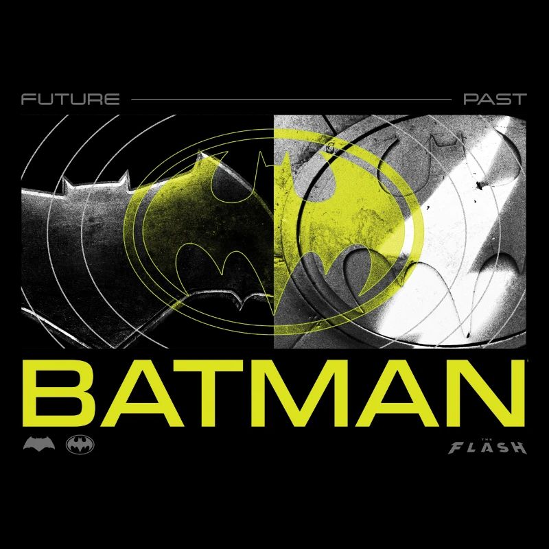 The Flash And Batman Future And Past