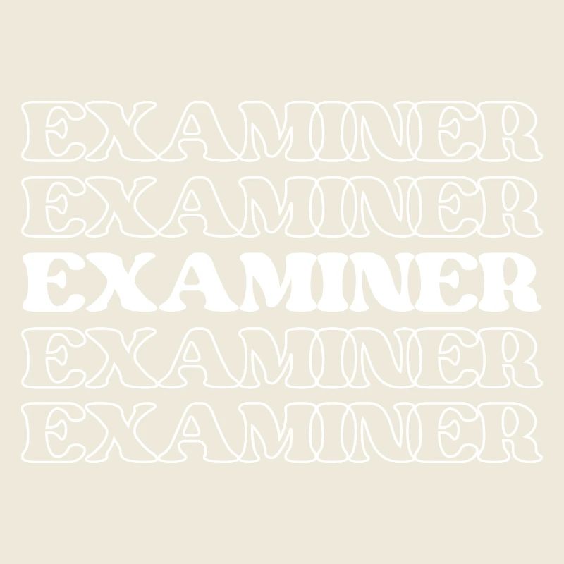 Examiner Checker Auditor Inspector Reviewer