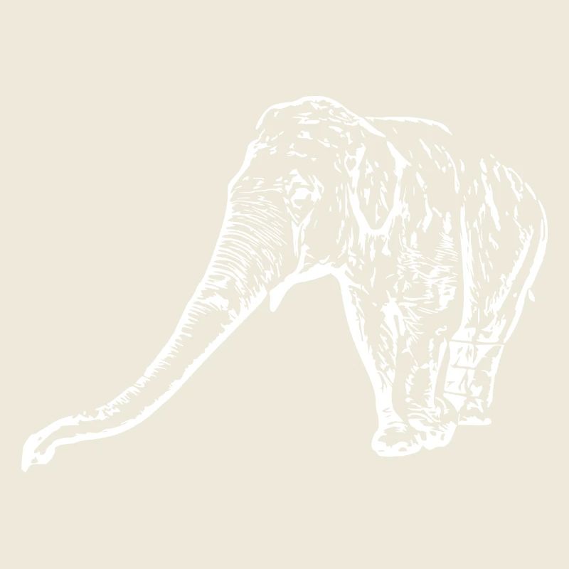 Elephant white