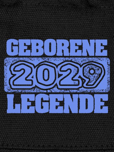 2029