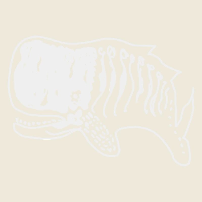 Whale