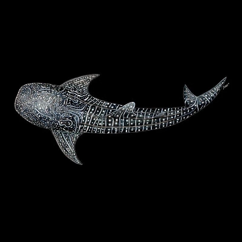 Requin baleine