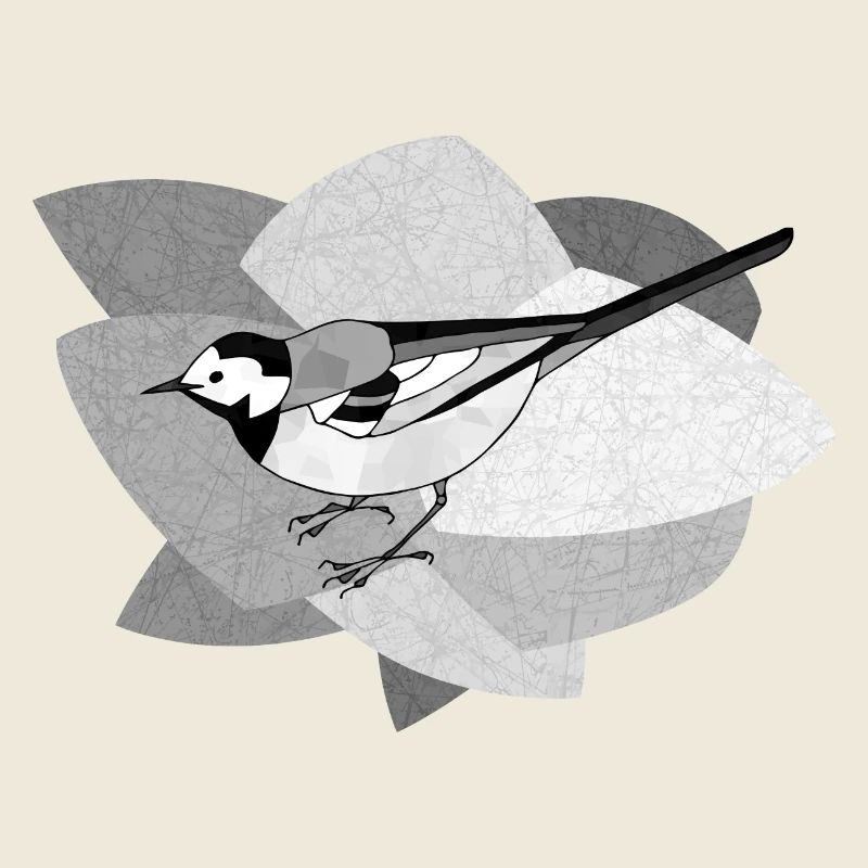 Wagtail bird