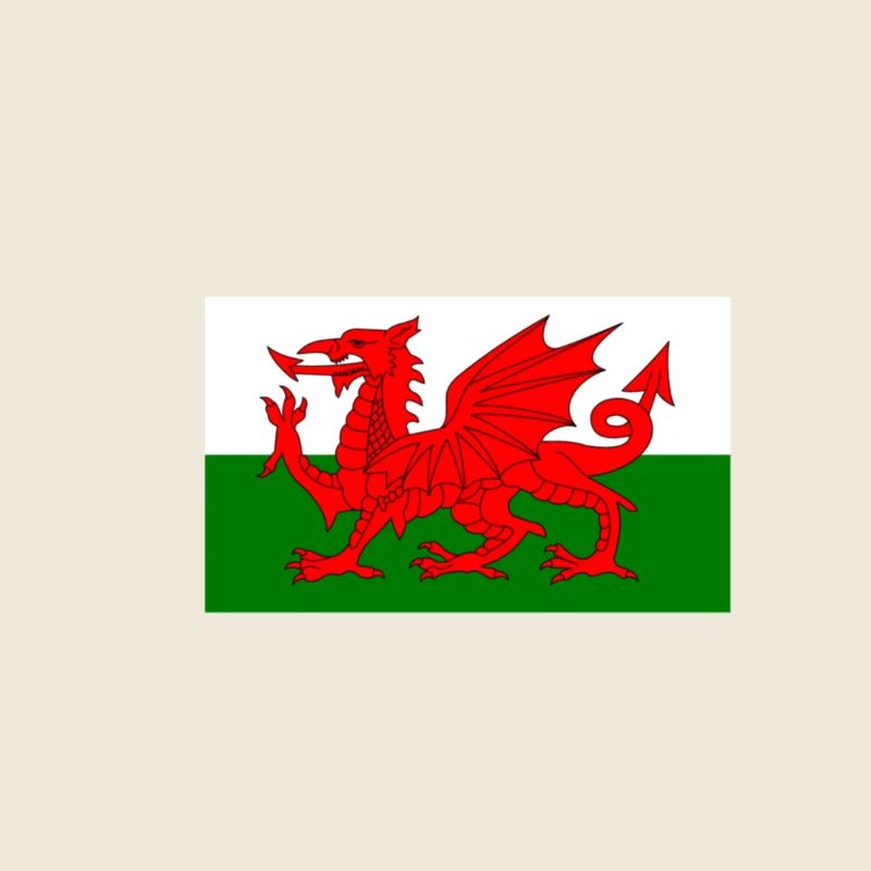 Wales Flagge
