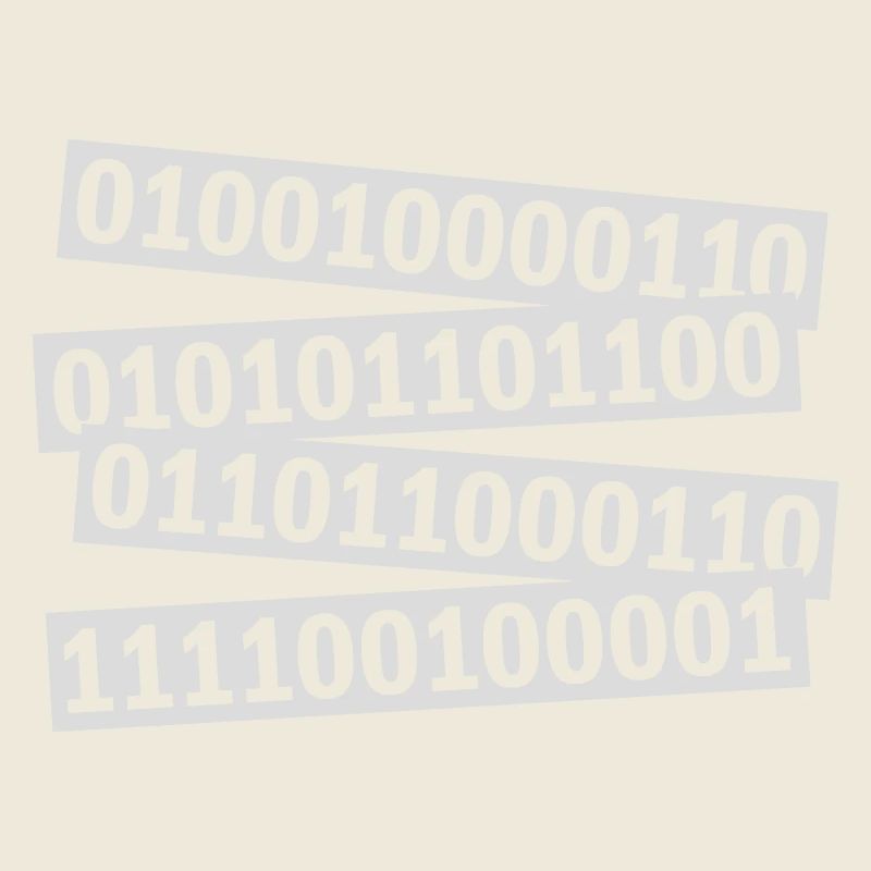 Langage de programme de code binaire