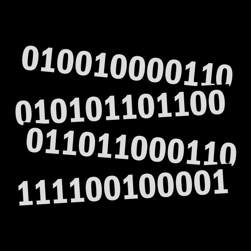 Binary Code Program Language