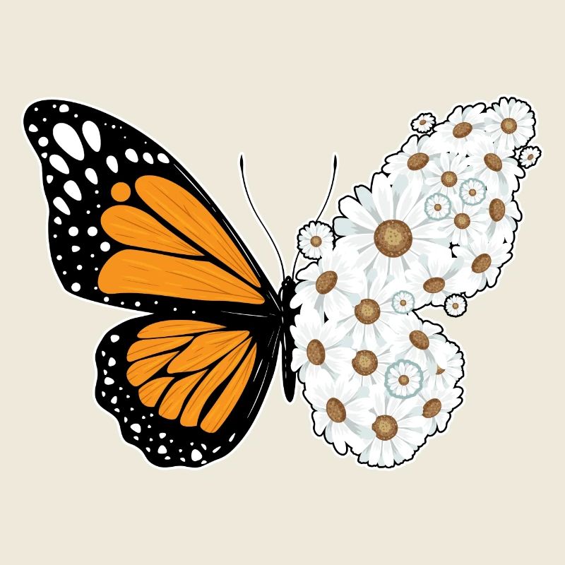 Marguerites papillon