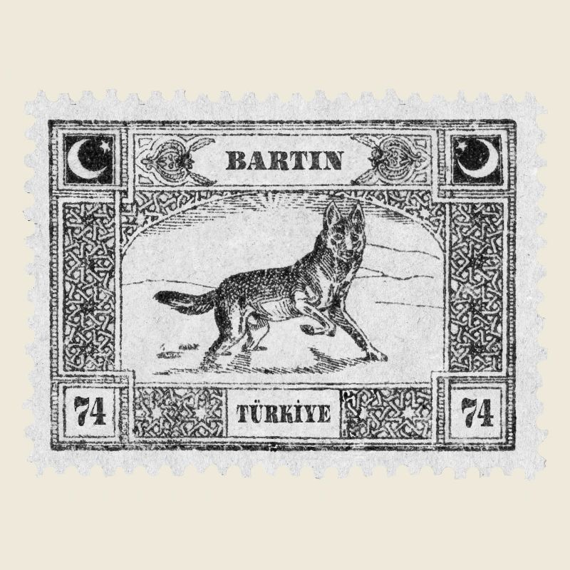 Bartın