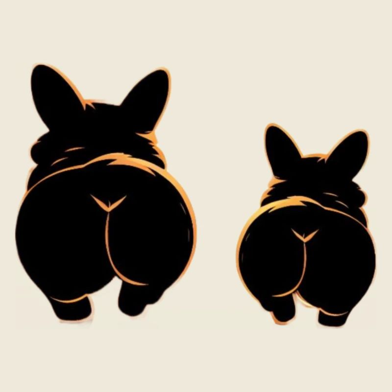 Zwei Corgis mit süßen Hintern