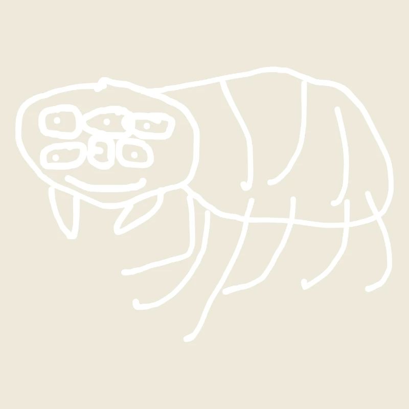 Spider Animal