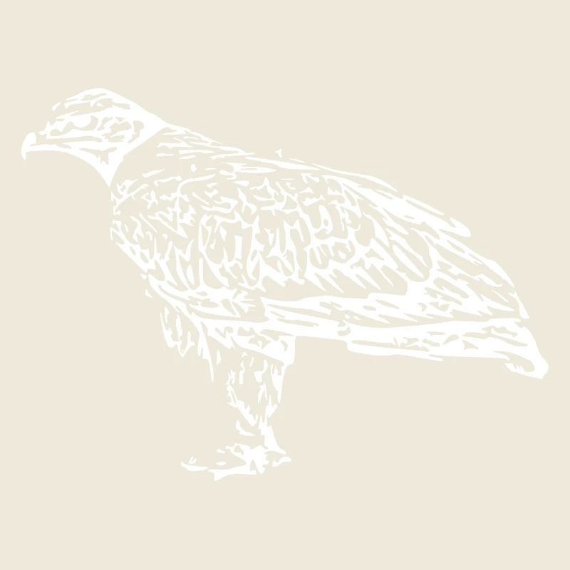 Falken Vogel Vögel