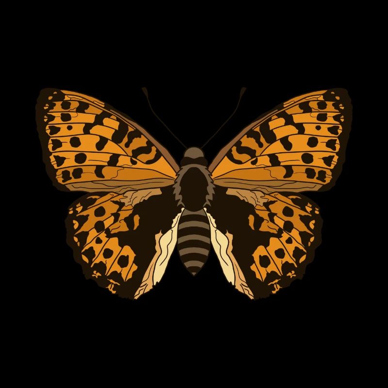 Papillon orange