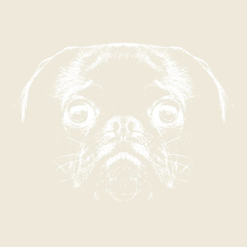 Mops / Gesicht / Kopf