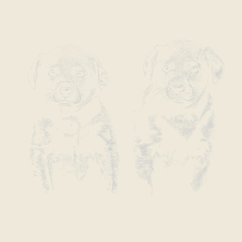 Chiots