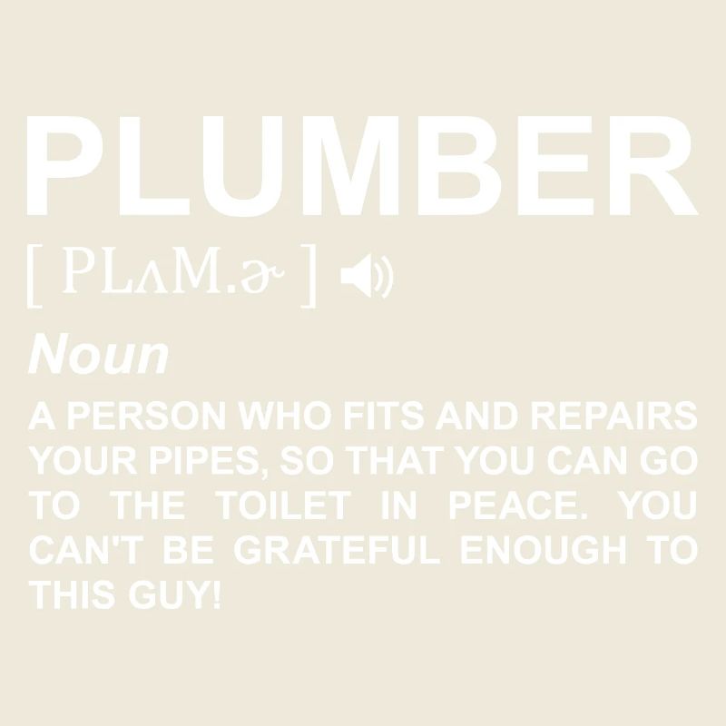 Plumber Definition