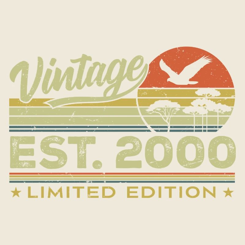 Vintage 2000 Awesome Since 2000 Gift 2000 Retro