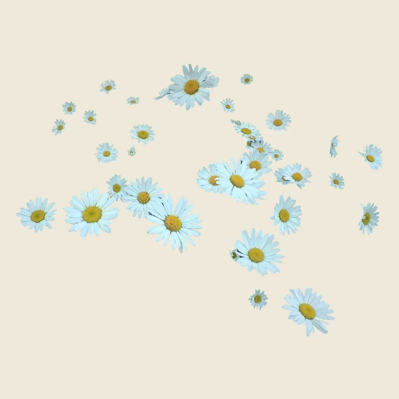 Margerite