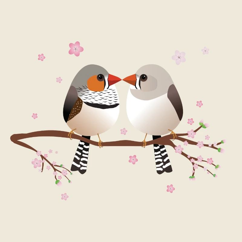 Mignons pinsons zébrés bulbeux
