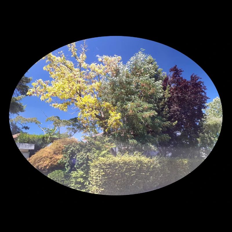 Bunte Bäume, blauer Himmel