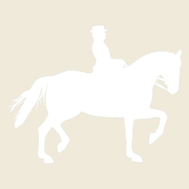 Equitation Riding Equestrian Equestrian Equestrian sport
