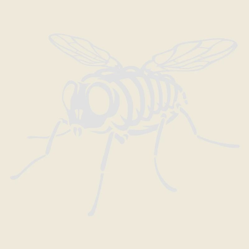 Skeleton Fly