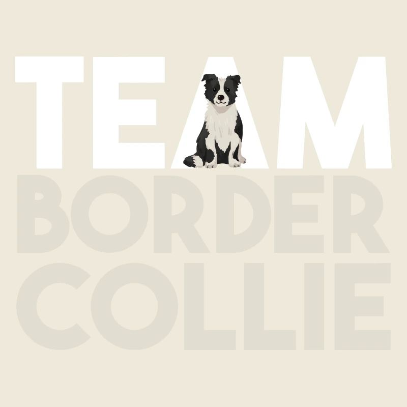 Chien Border Collie