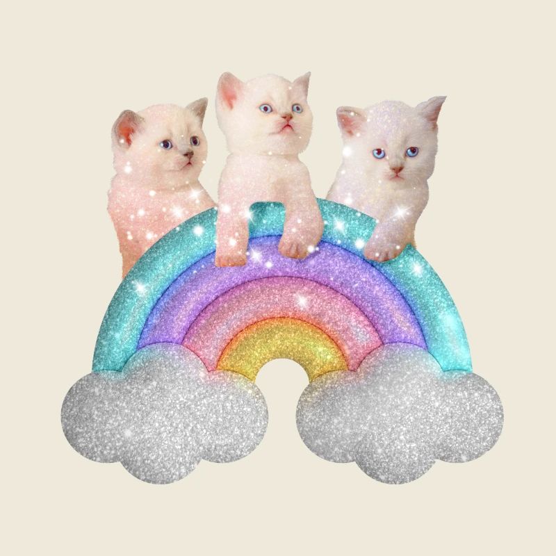Kawai Colorful Rainbow Cat kitten lovers Kitty