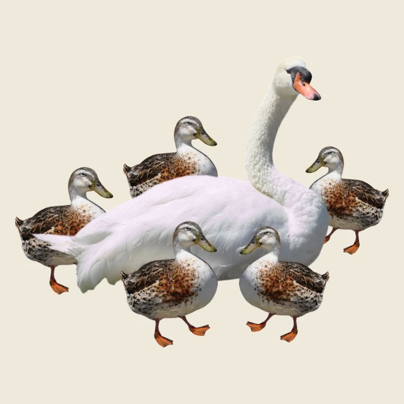 Danse du canard