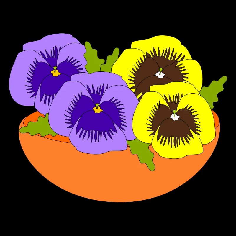 Pansy