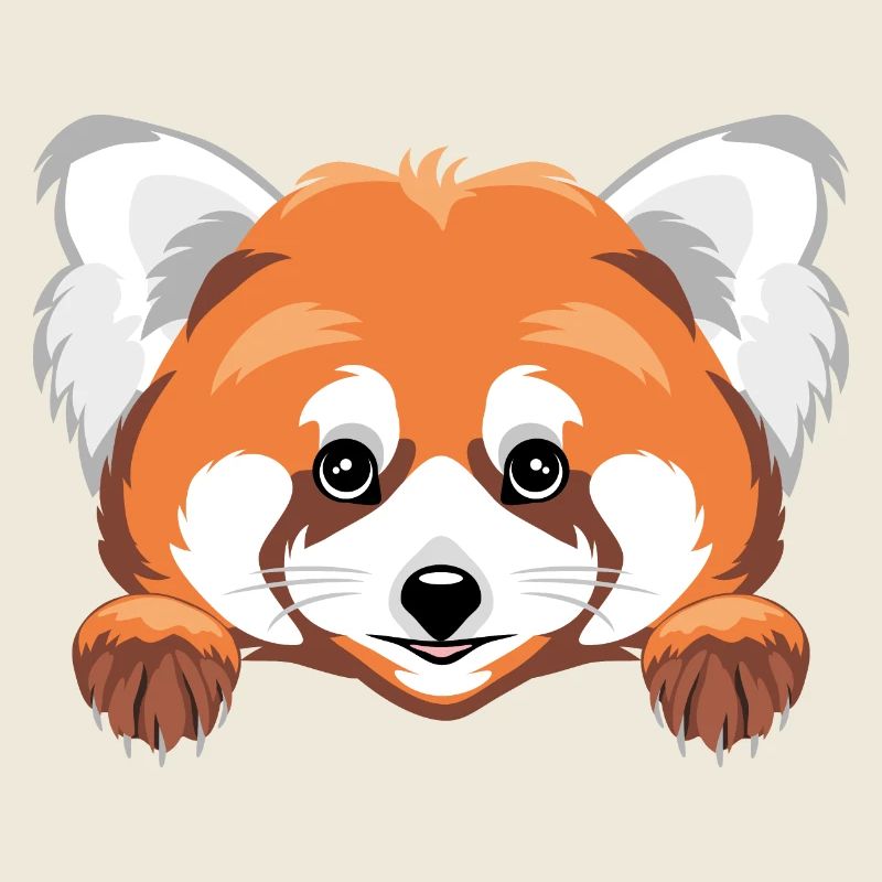 Coup d’œil mignon panda roux