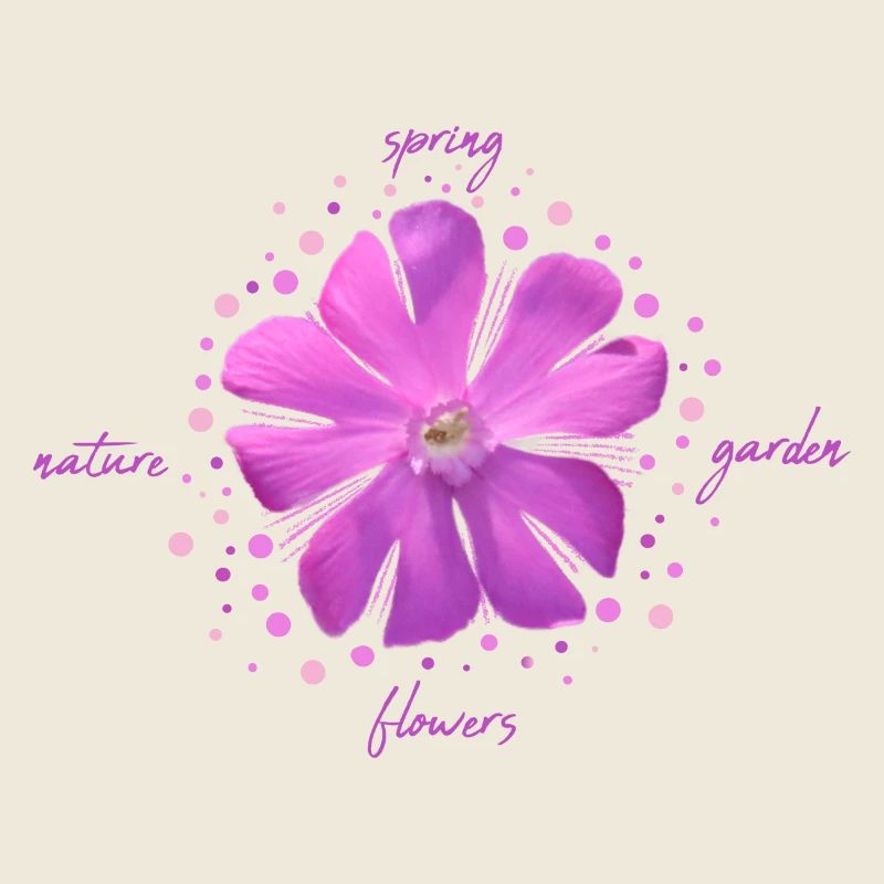 fleur rose fleurs roses