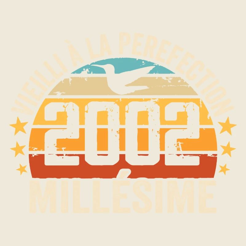 Vintage 2002 Retro Birthday Gift 2002