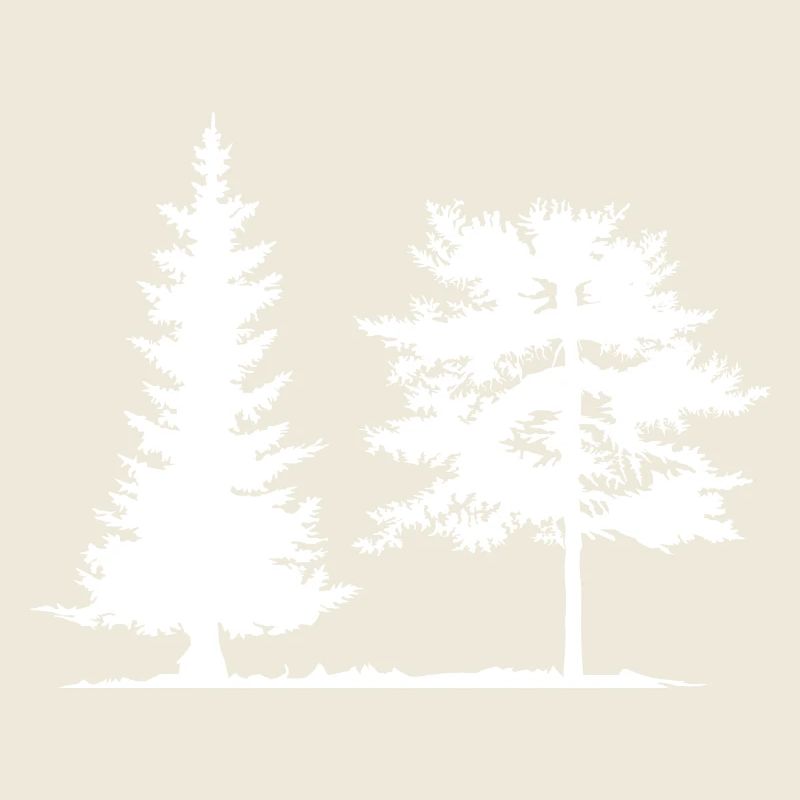 Tree, Spruce, Forest, Camping, Nature, Mixed Forest, Pine