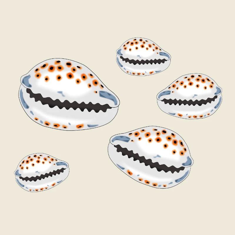 Muscheln