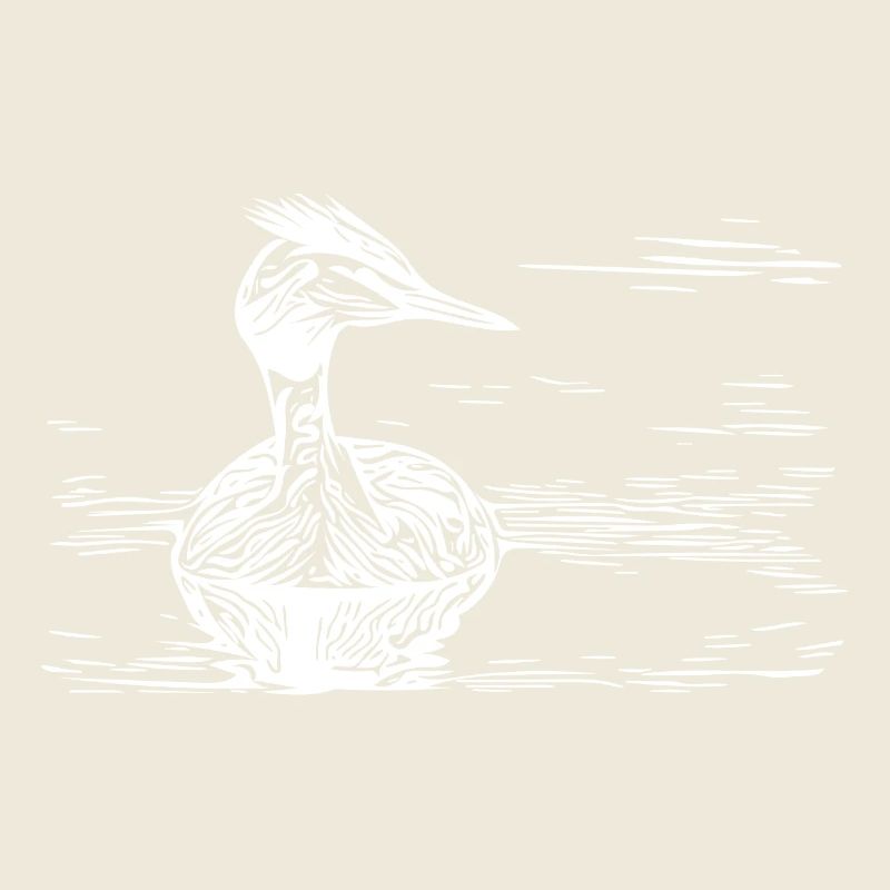 Vintage crested grebe floating on river