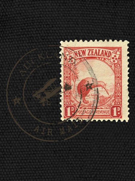 Kiwi stamp