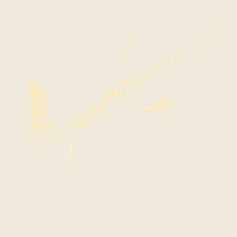 gitarre